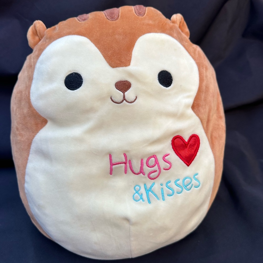 Squishmallows Nic the Squirrel from the Valentine Squad